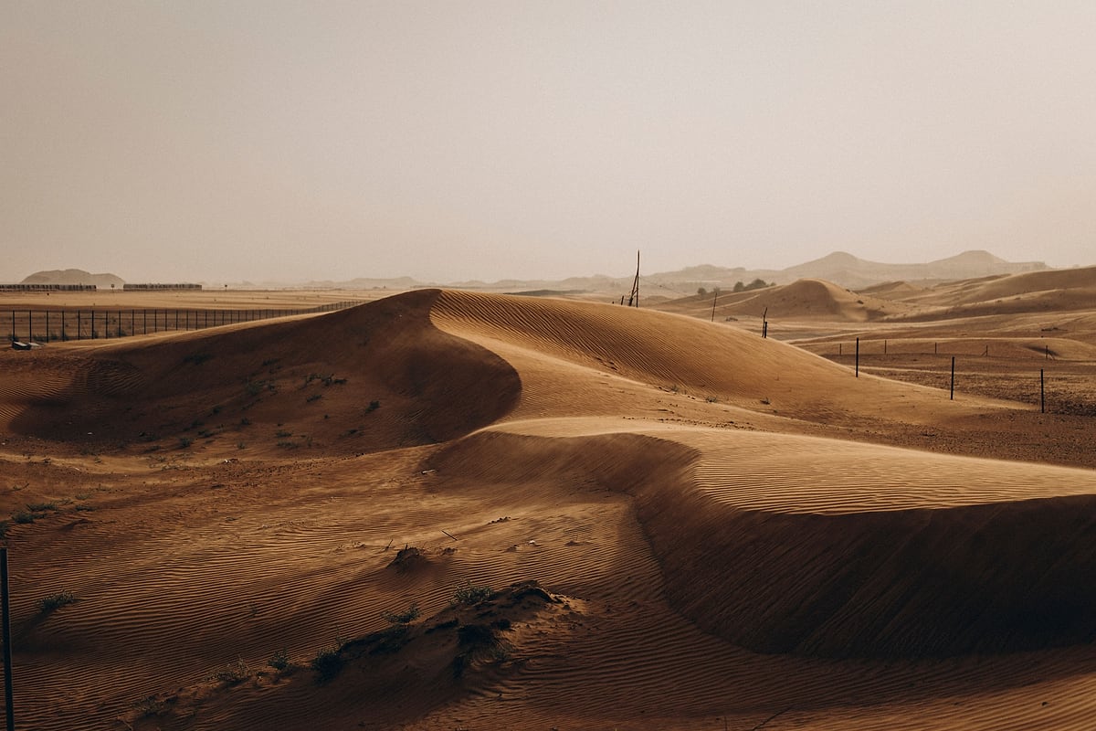 Golden sand dunes in the Al Ain desert at sunset
